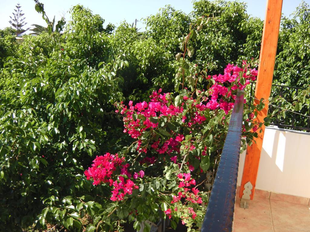 Serenity Hideaway باليوخورا الغرفة الصورة