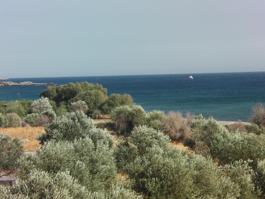 Serenity Hideaway باليوخورا الغرفة الصورة