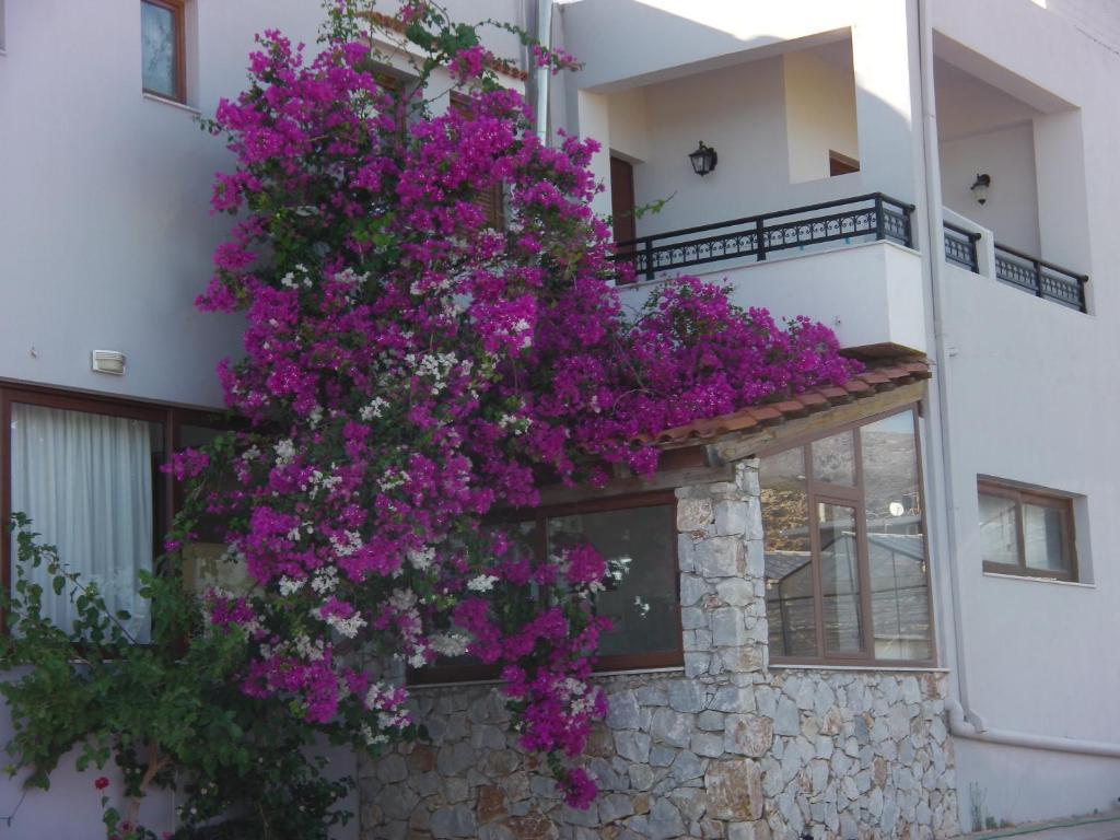 Serenity Hideaway باليوخورا الغرفة الصورة